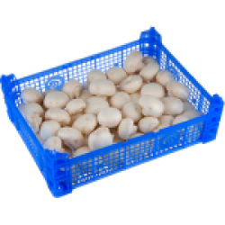 Champignons vers kist ca. 3kg.