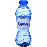 Spa Blauw reine (Pet) 24x33cl.