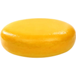 Wiel Kaas GD Jong Born 48+ ca. 12kg